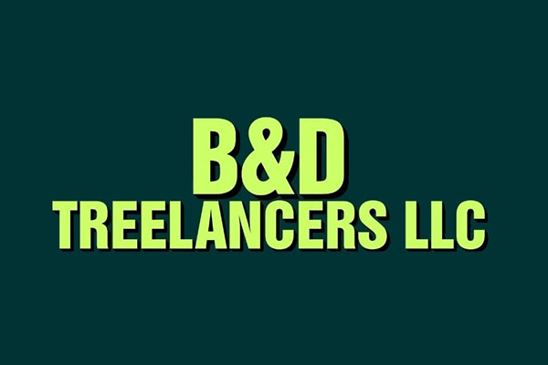 B&D Treelancers LLC, TX