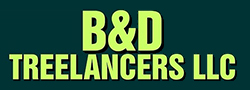 B&D Treelancers LLC, TX